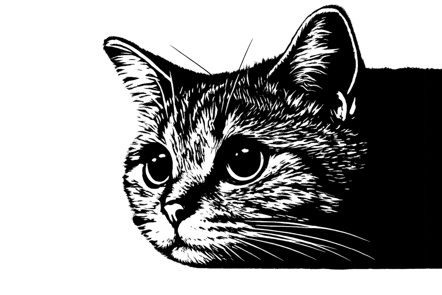 Cat illustration — codefather.dev brand mark